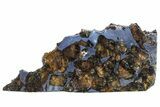 Seymchan Pallasite Meteorite Slice ( g) - Russia #305569-1